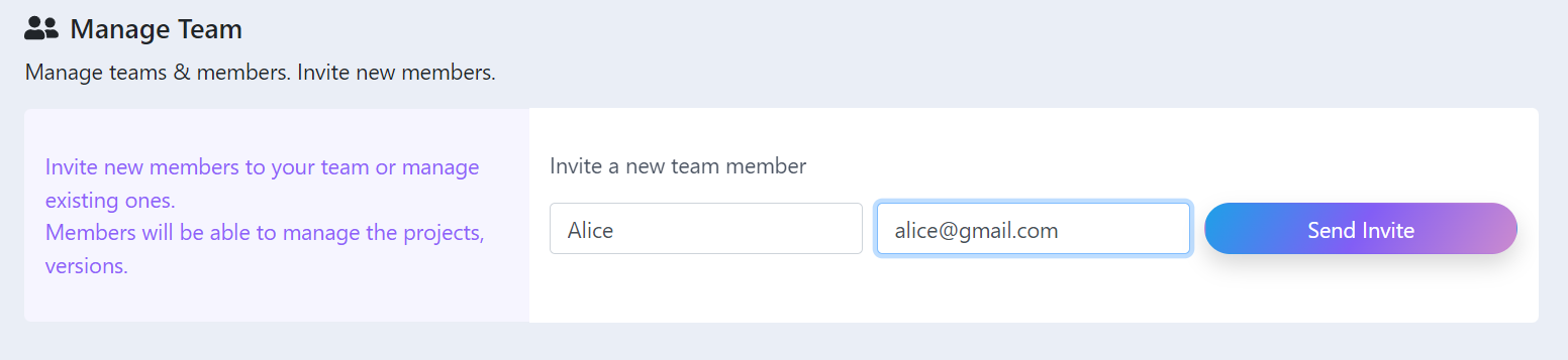 Team invite member